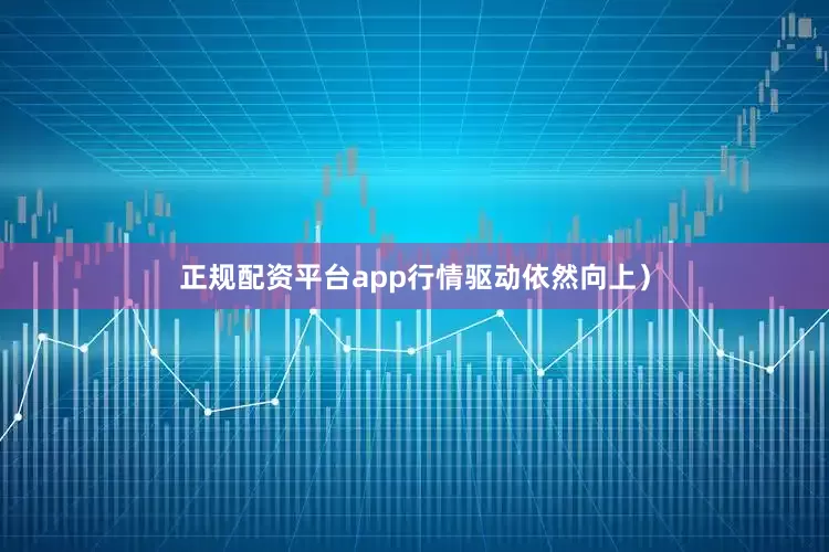 正规配资平台app行情驱动依然向上）