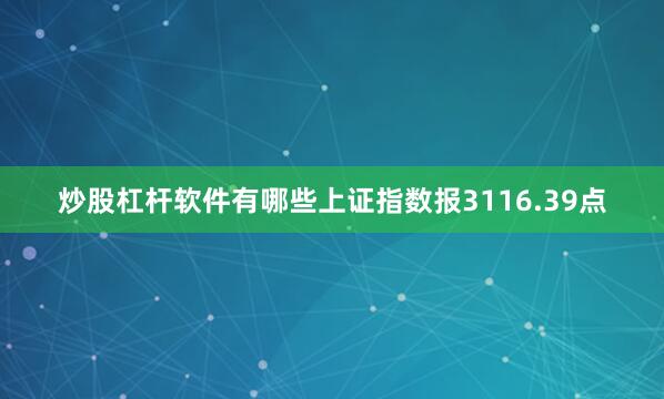 炒股杠杆软件有哪些上证指数报3116.39点