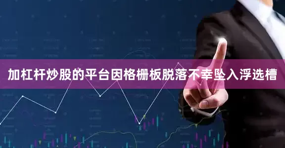 加杠杆炒股的平台因格栅板脱落不幸坠入浮选槽
