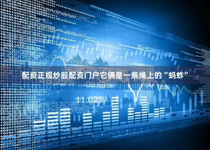 配资正规炒股配资门户它俩是一条绳上的“蚂蚱”