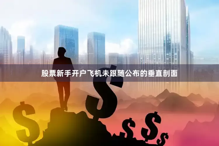 股票新手开户飞机未跟随公布的垂直剖面