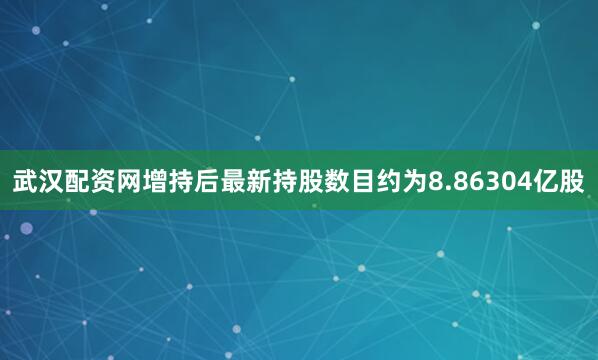 武汉配资网增持后最新持股数目约为8.86304亿股